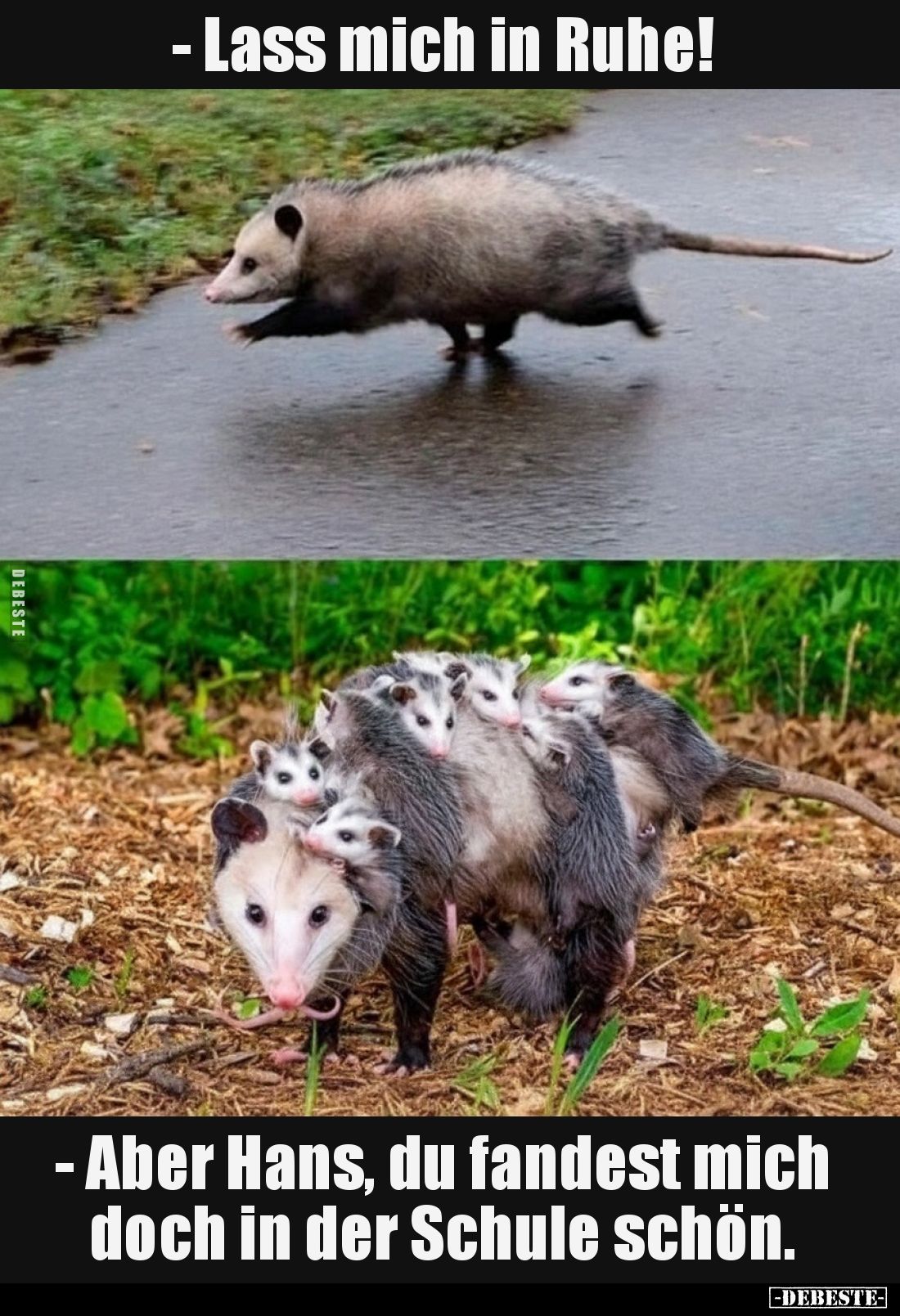 - Lass mich in Ruhe! 
- Aber Hans, du fandest mich doch in der Schule schön.