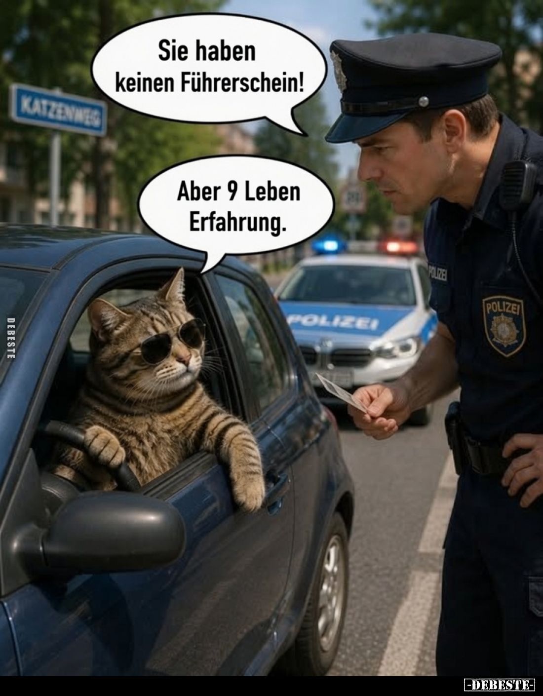 Sie haben keinen Führerschein!
-
Aber 9 Leben Erfahrung.