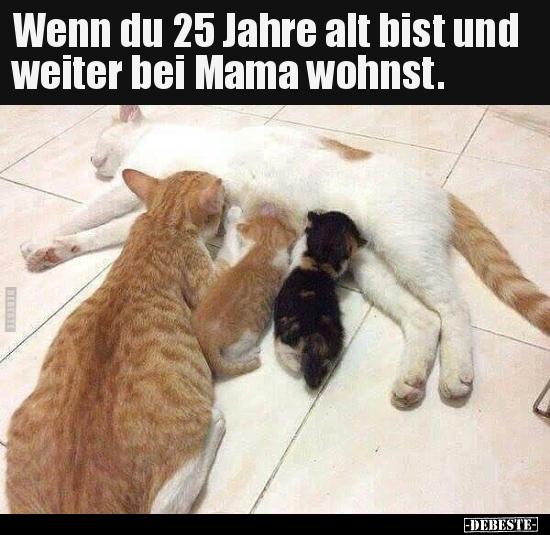 Wenn du 25 Jahre alt bist und weiter bei Mama wohnst... - Lustige Bilder | DEBESTE.de