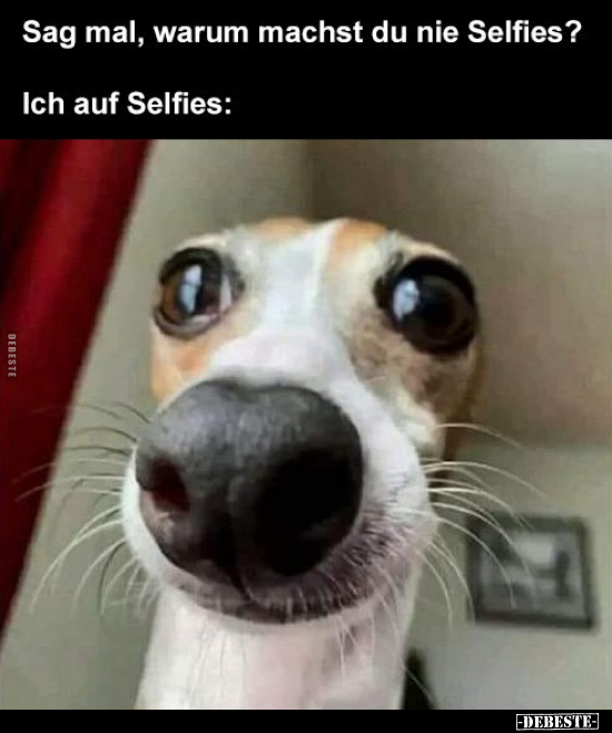 Sag mal, warum machst du nie Selfies?.. - Lustige Bilder | DEBESTE.de