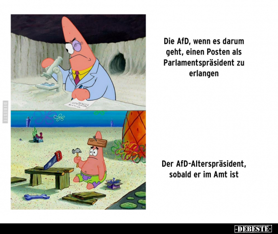 Die AfD, wenn es darum geht.. - Lustige Bilder | DEBESTE.de