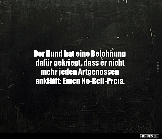 Der Hund hat eine Belohnung dafür gekriegt, dass er nicht.. - Lustige Bilder | DEBESTE.de