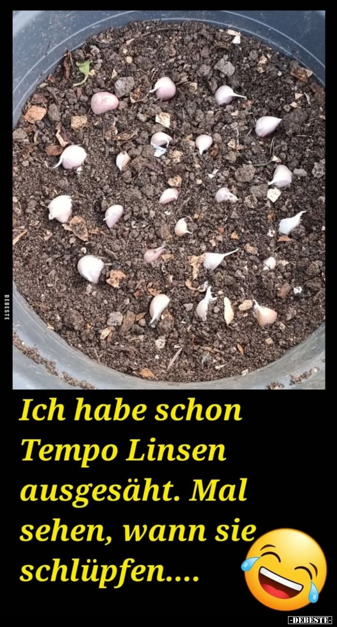 Ich habe schon Tempo Linsen ausgesäht.. - Lustige Bilder | DEBESTE.de