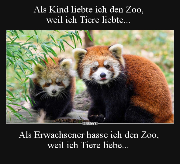 Als Kind liebte ich den Zoo,  weil ich Tiere liebte... - Lustige Bilder | DEBESTE.de