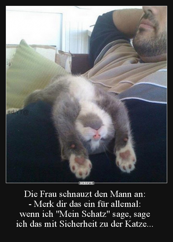 Die Frau schnauzt den Mann an..