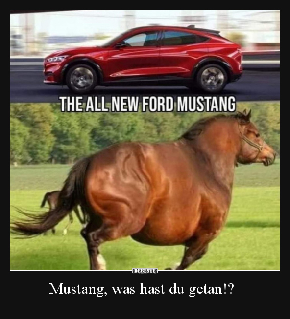 Mustang, was hast du getan!?.. - Lustige Bilder | DEBESTE.de