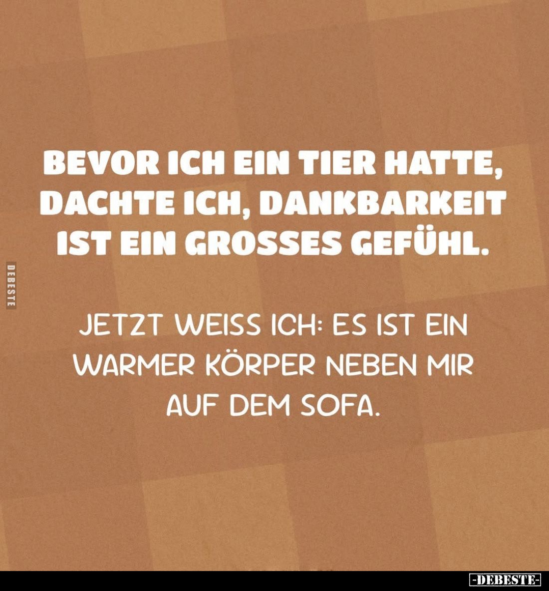 Bevor ich ein Tier hatte, dachte ich, Dankbarkeit ist ein grosses Gefühl.
Jetzt weiss ich: es ist ein warmer Körper neben mi...