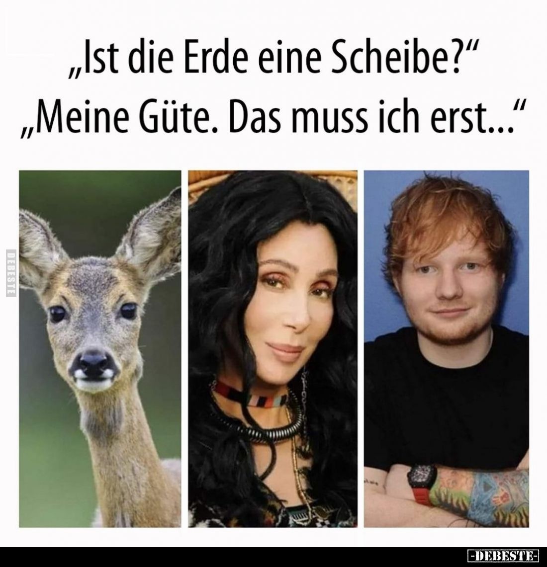 „Ist die Erde eine Scheibe?"
„Meine Güte. Das muss ich erst..."