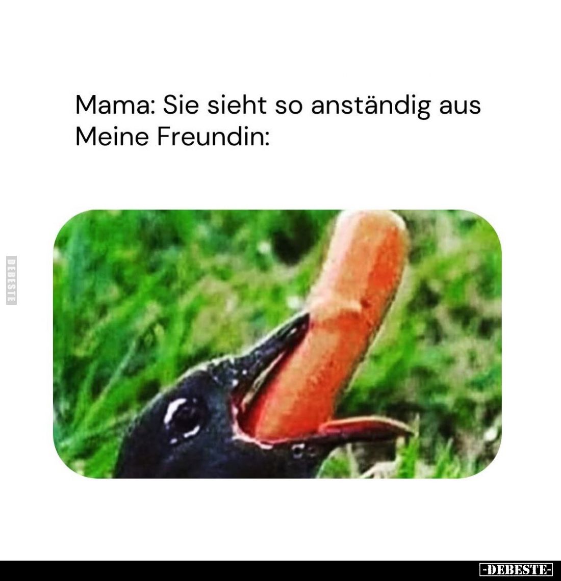 Mama: Sie sieht so anständig aus. Meine Freundin: