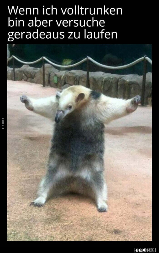 Wenn ich volltrunken bin aber versuche geradeaus zu laufen