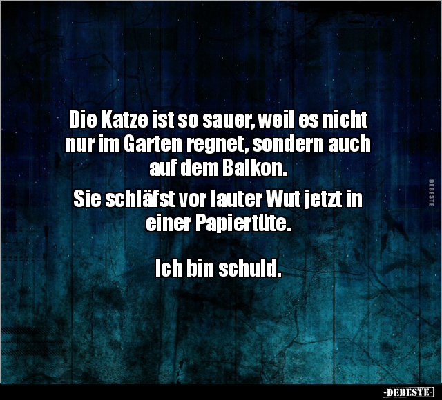 Die Katze ist so sauer, weil es nicht nur im Garten.. - Lustige Bilder | DEBESTE.de