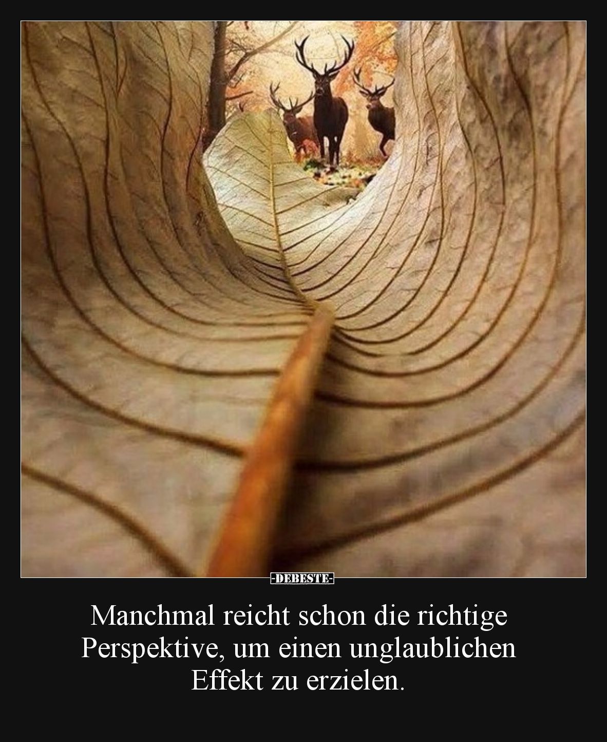 Manchmal reicht schon die richtige Perspektive, um einen unglaublichen Effekt zu erzielen.