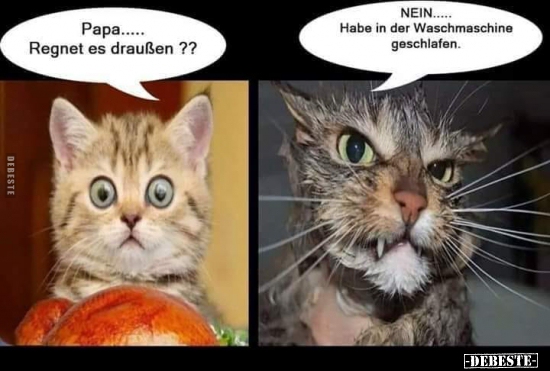 Papa... Regnet es draußen?