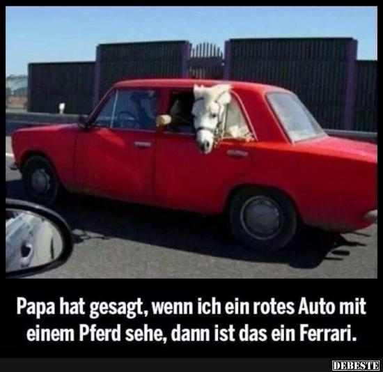 Papa hat gesagt.. - Lustige Bilder | DEBESTE.de
