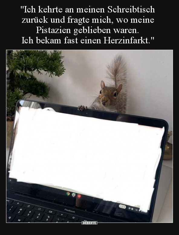 "Ich kehrte an meinen Schreibtisch zurück und fragte mich.." - Lustige Bilder | DEBESTE.de