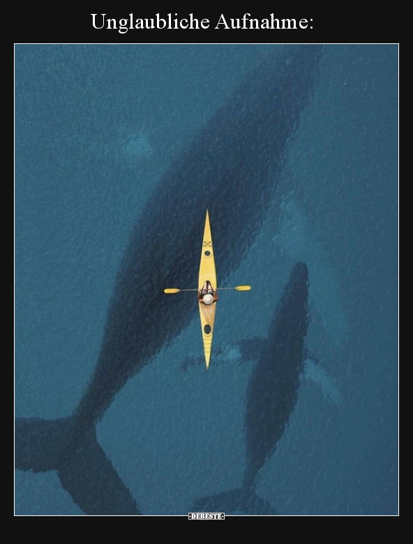 Unglaubliche Aufnahme..