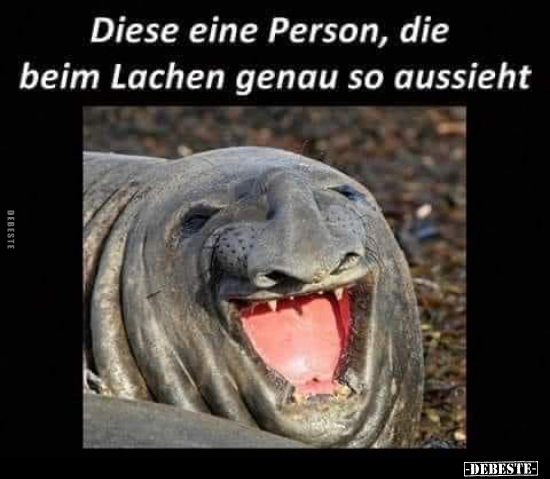 Genau, Lachen