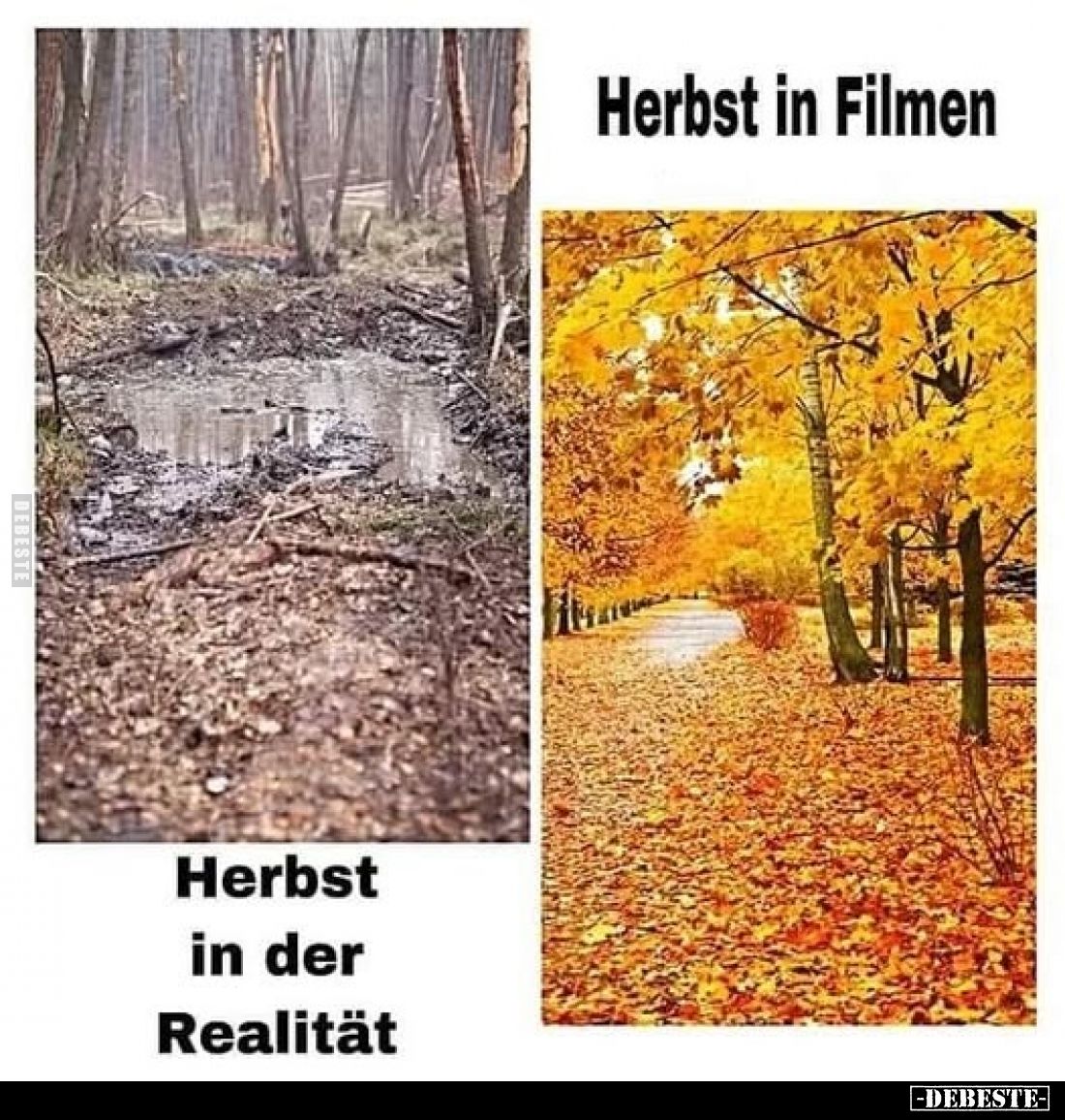 Herbst in Filmen /
Herbst in der
Realität