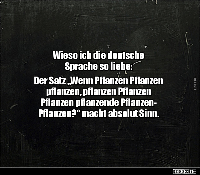 Wieso ich die deutsche Sprache so liebe.. - Lustige Bilder | DEBESTE.de