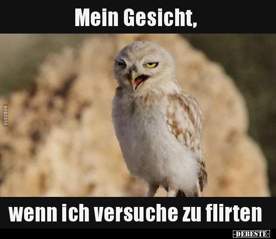 Mein Gesicht, wenn ich versuche zu flirten.. - Lustige Bilder | DEBESTE.de