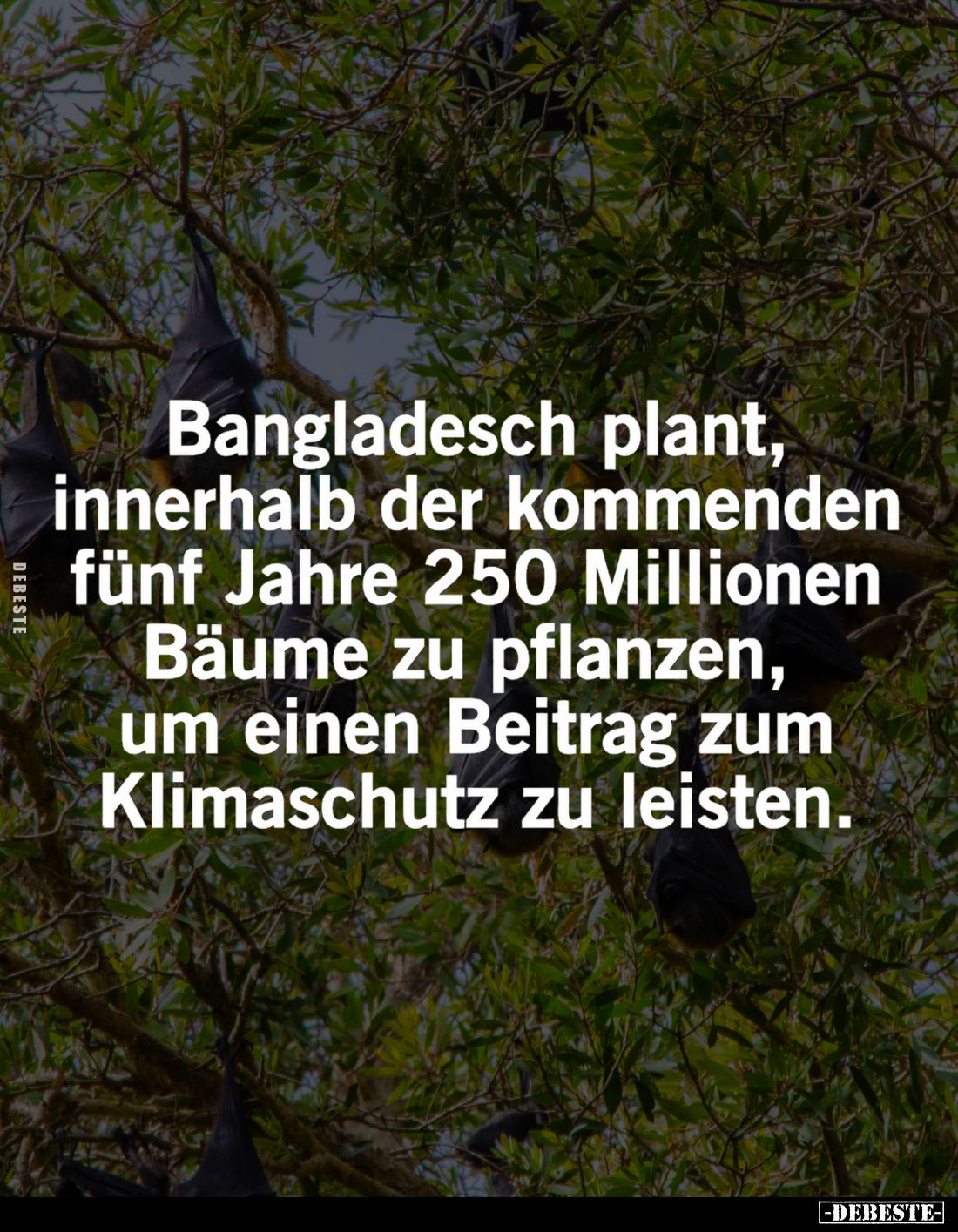 Bangladesch plant, innerhalb der kommenden fünf Jahre 250 Millionen Bäume zu pflanzen, um einen Beitrag zum Klimaschutz zu le...