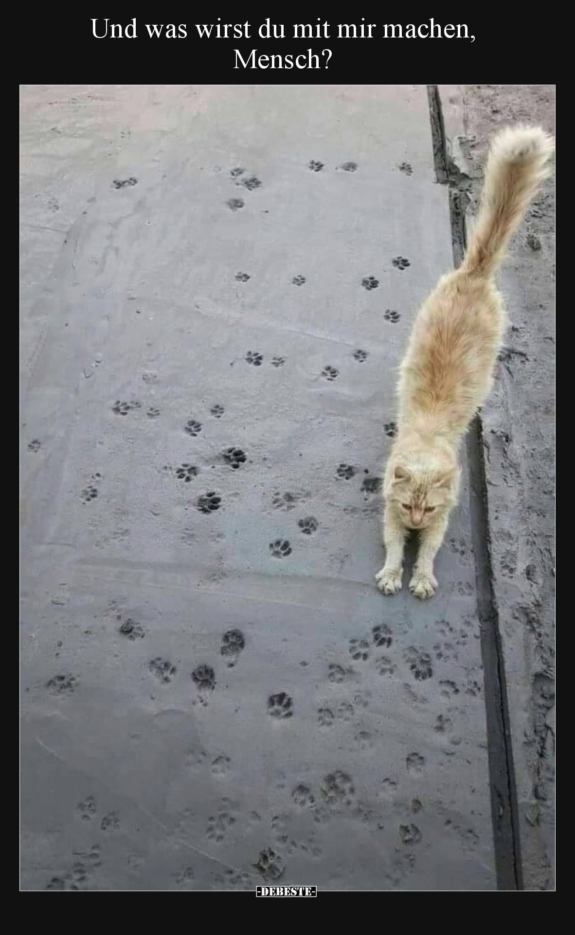 Und was wirst du mit mir machen, Mensch?