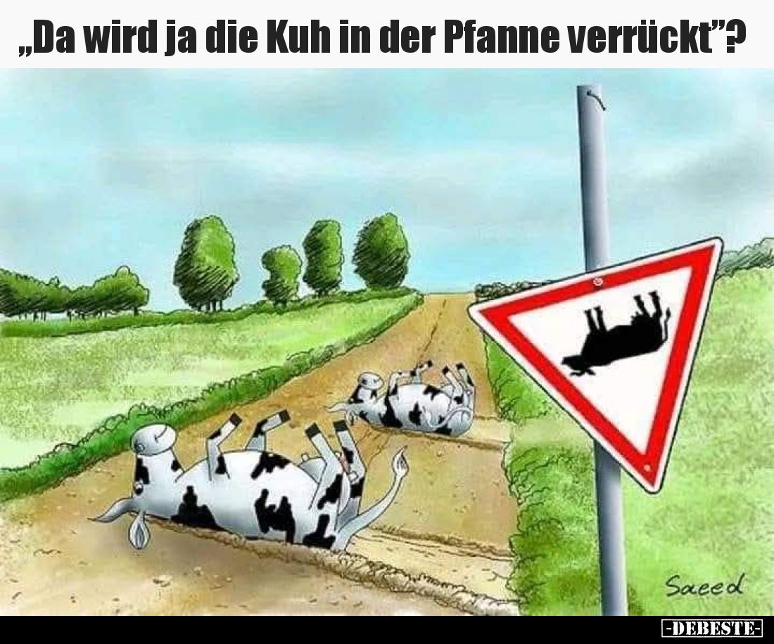 „Da wird ja die Kuh in der Pfanne verrückt”?