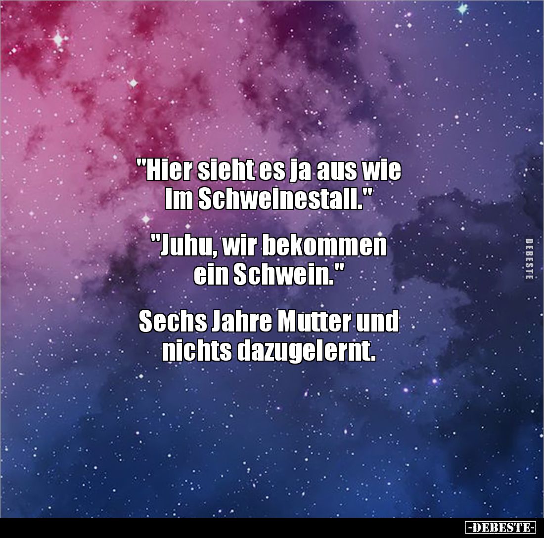 "Hier sieht es ja aus wie
im Schweinestall."
"Juhu, wir bekommen
ein Schwein."
Sechs Jahr...