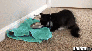 Er weiß ganz genau was er tut..