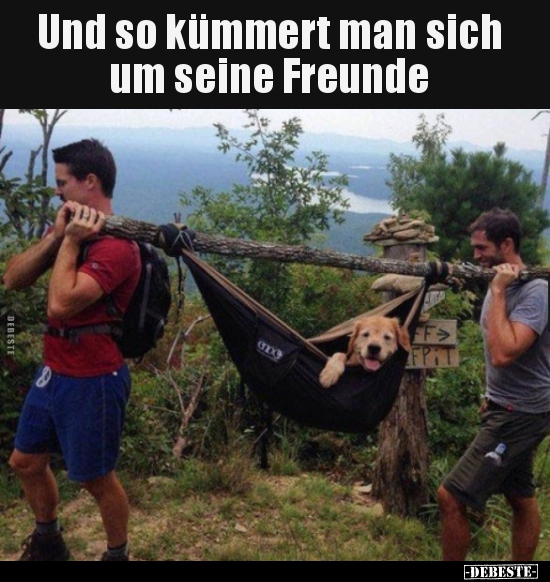 Und so kümmert man sich um seine Freunde..