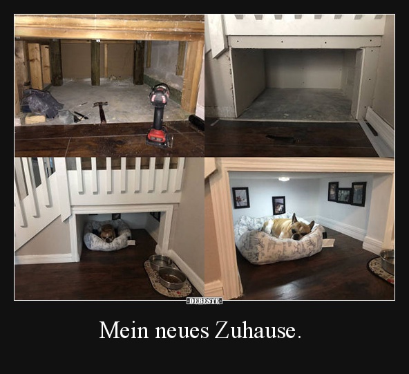 Mein neues Zuhause. - Lustige Bilder | DEBESTE.de
