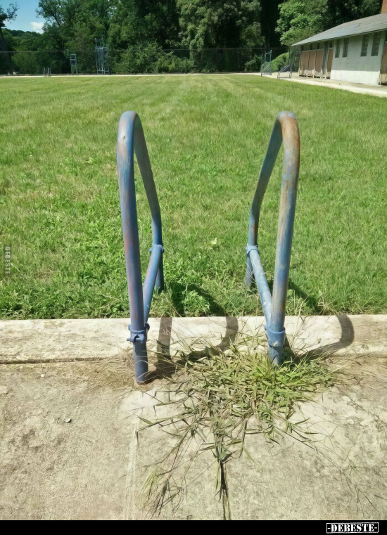  - Lustige Bilder | DEBESTE.de