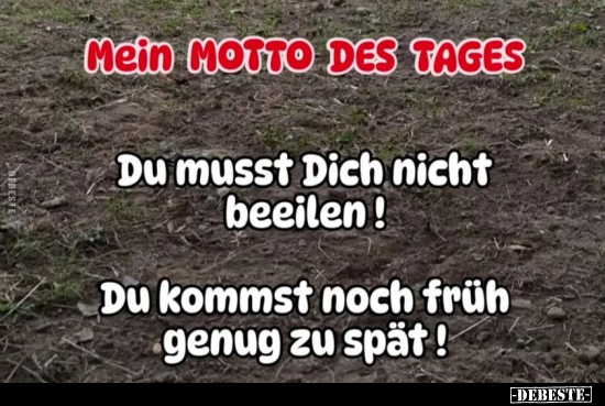 Mein Motto des Tages.. - Lustige Bilder | DEBESTE.de