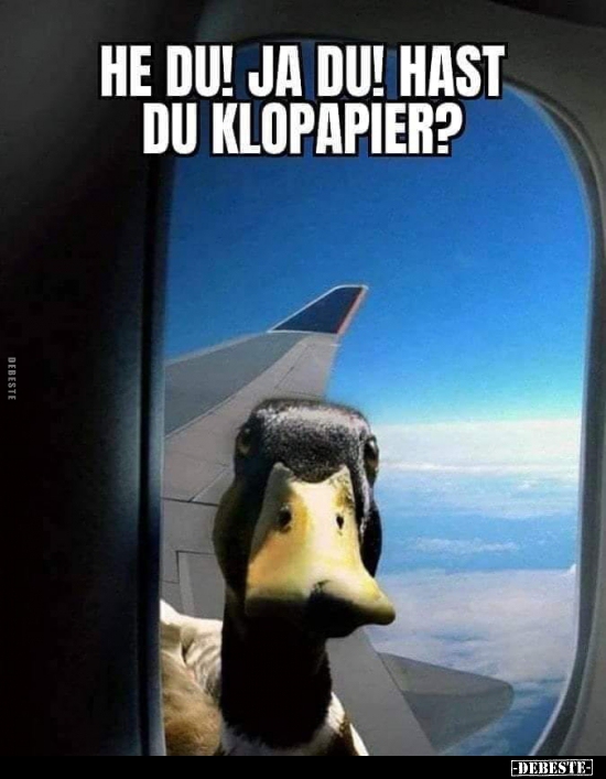 He du! Ja du! Hast du Klopapier?.. - Lustige Bilder | DEBESTE.de