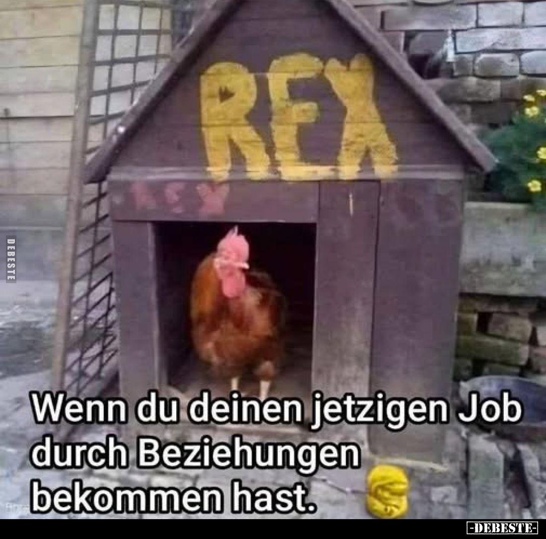 Wenn du deinen jetzigen Job durch Beziehungen bekommen.. - Lustige Bilder | DEBESTE.de