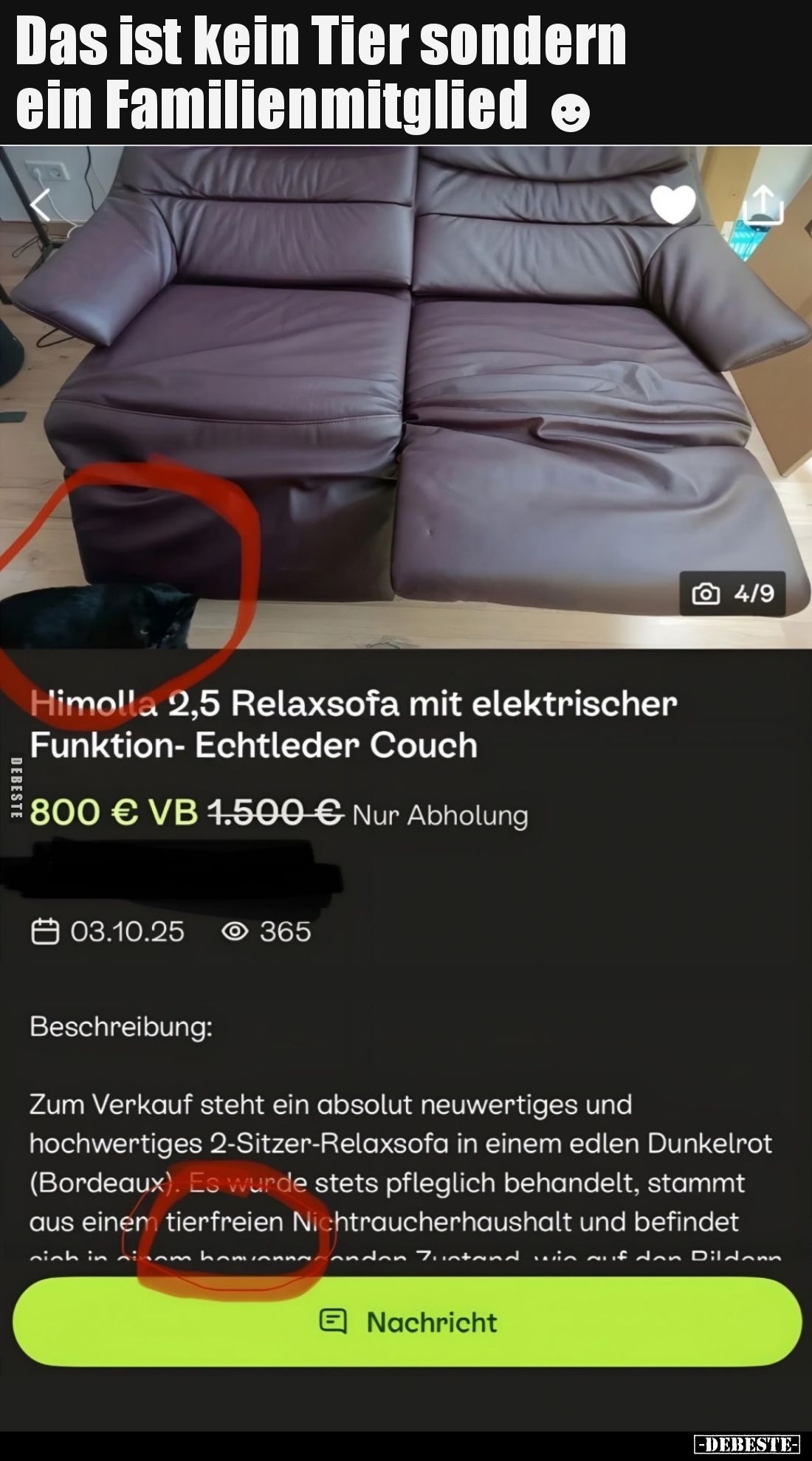 Das ist kein Tier sondern ein Familienmitglied.