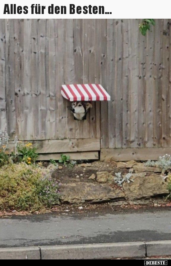 Alles für den Besten...