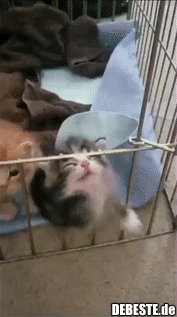 Wenn man aus Nichts ein Problem macht..