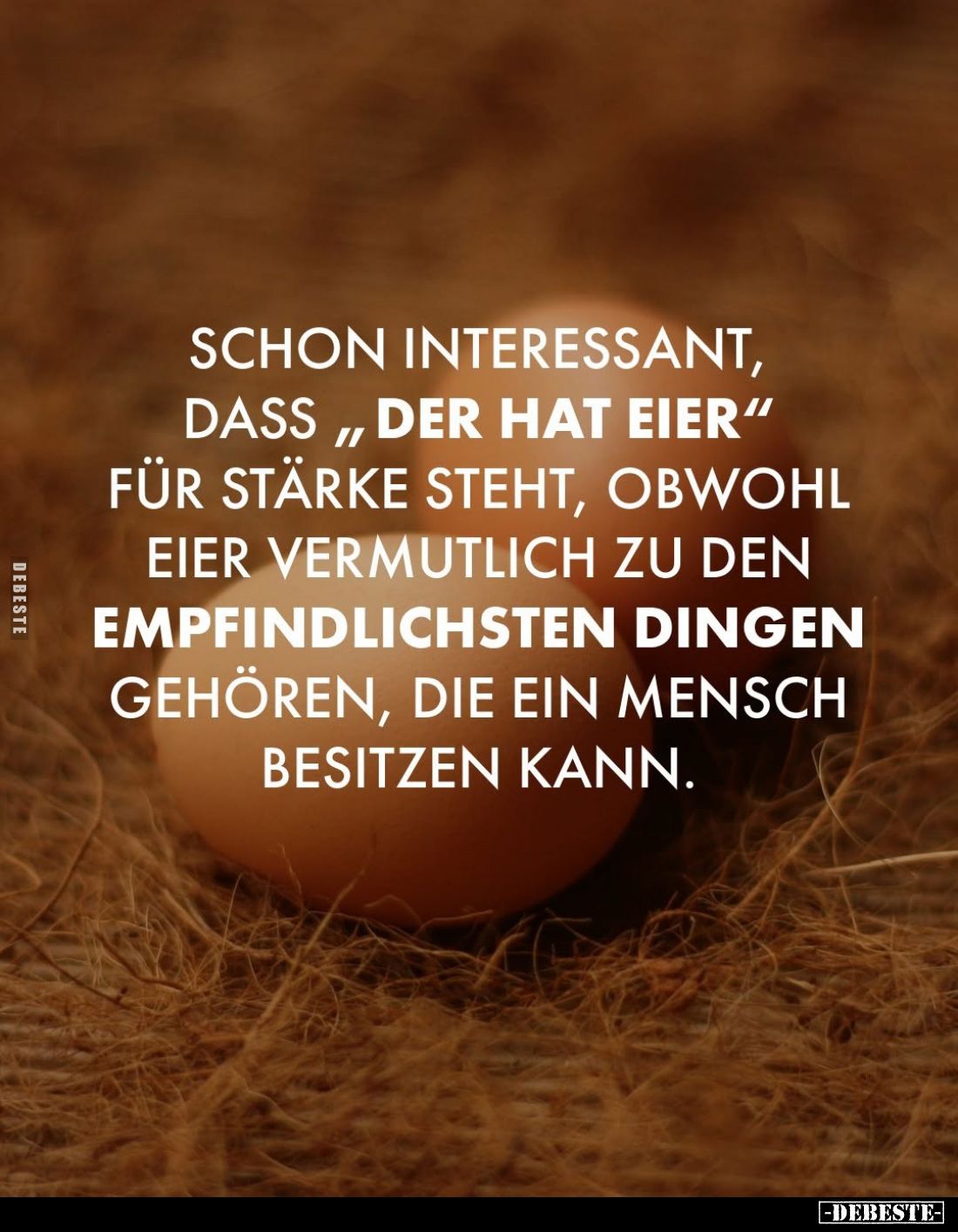 Schon interessant, dass ,,der hat Eier" für Stärke steht, obwohl Eier vermutlich zu den empfindlichsten Dingen gehören, ...