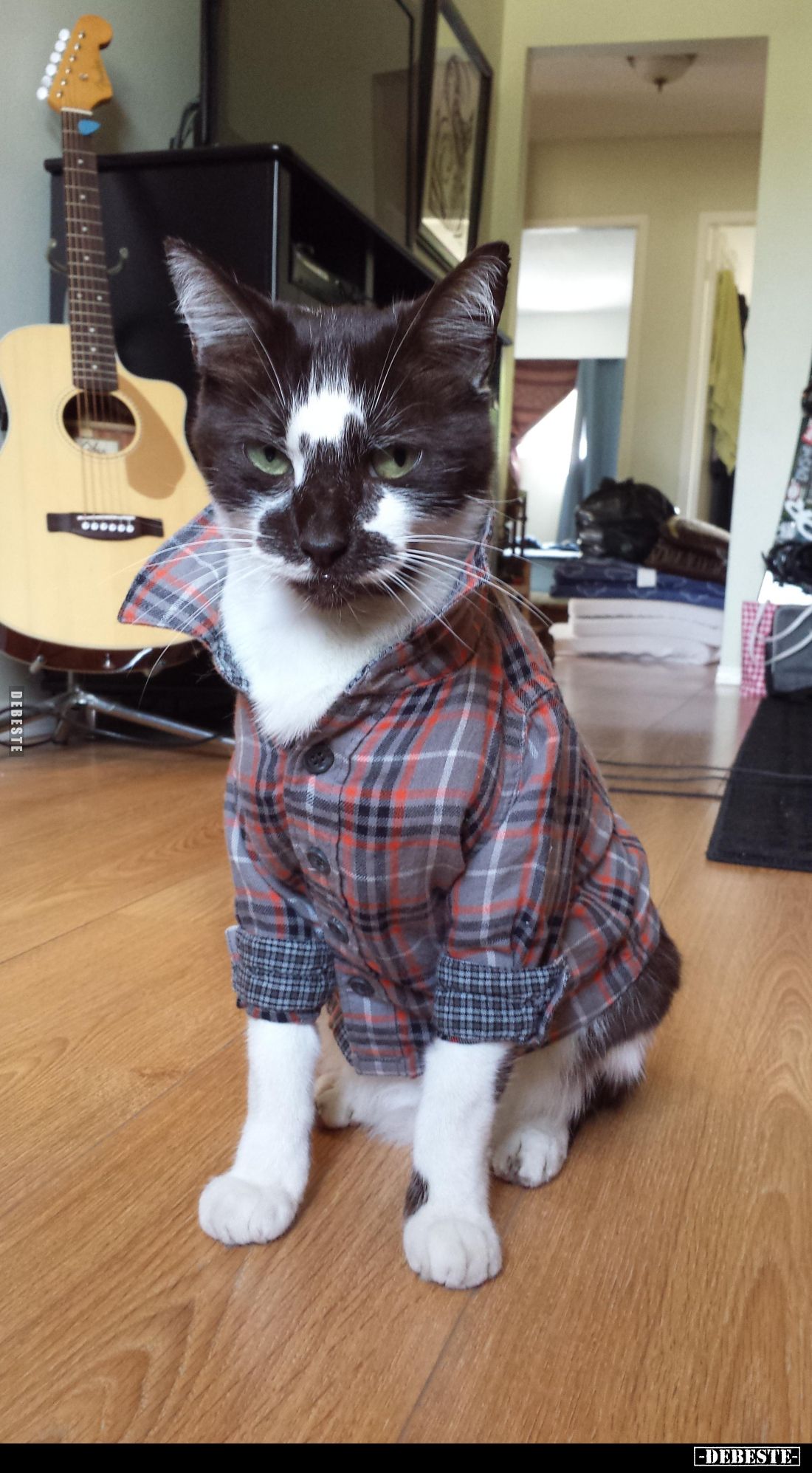 Ihm steht das Hemd gut... - Lustige Bilder | DEBESTE.de