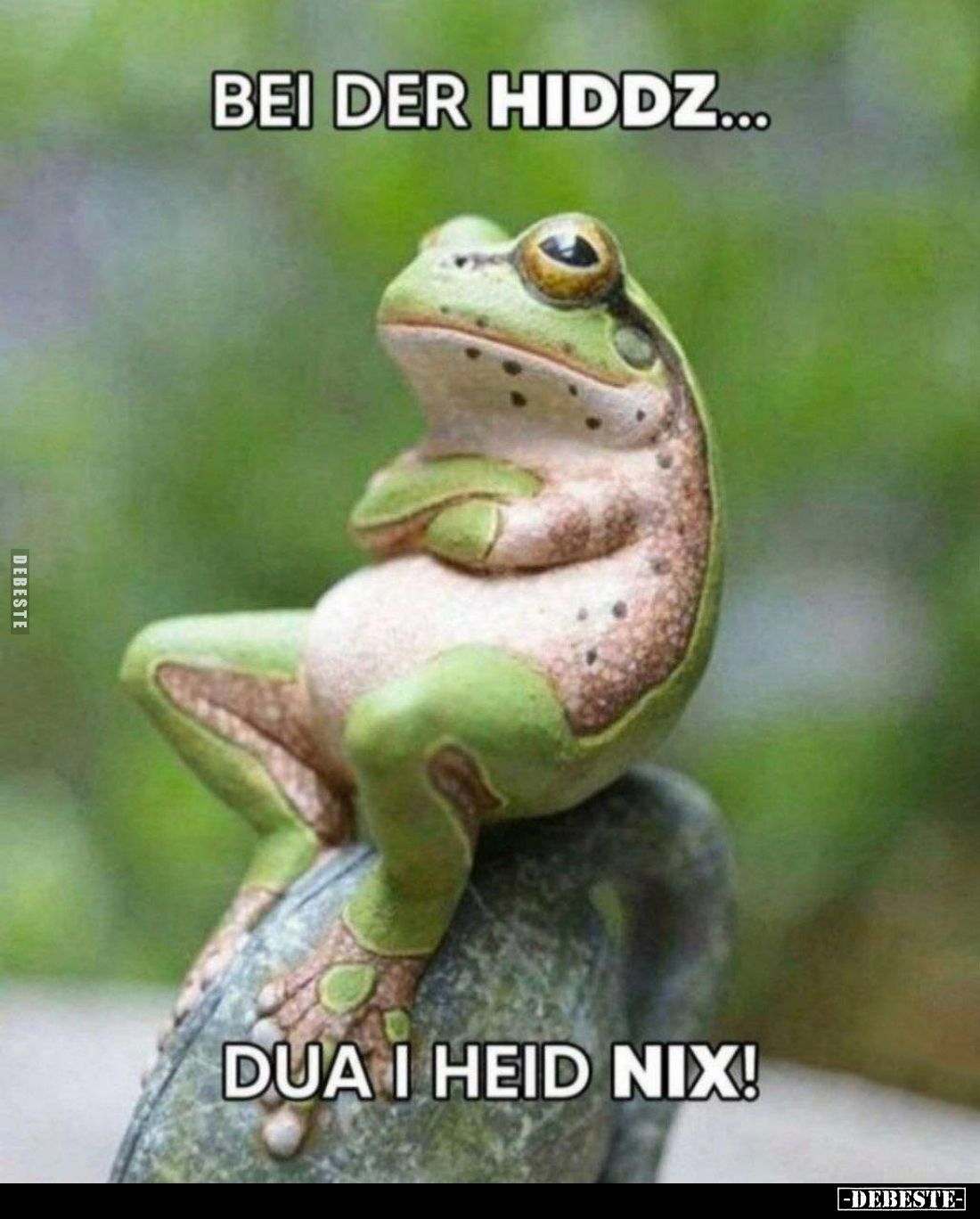 Bei der Hiddz...
dua I heid nix!