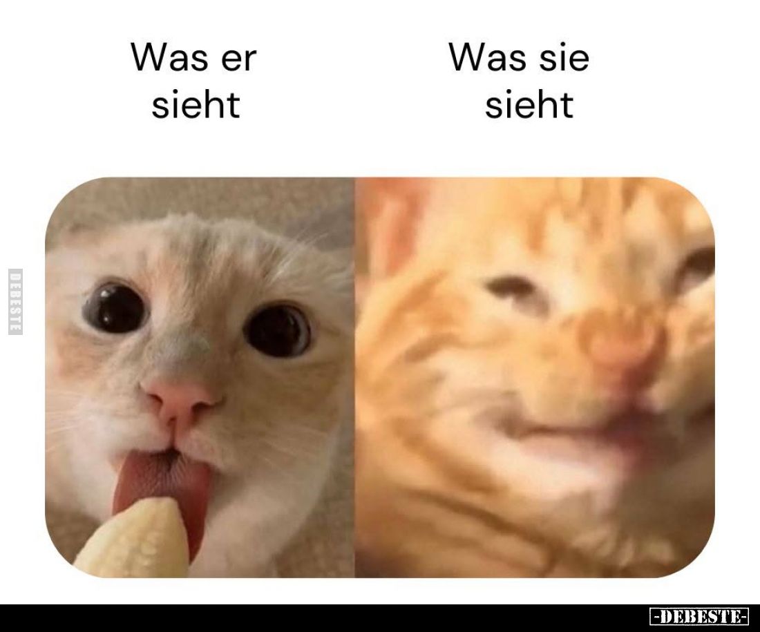 Was er sieht
-
Was sie sieht