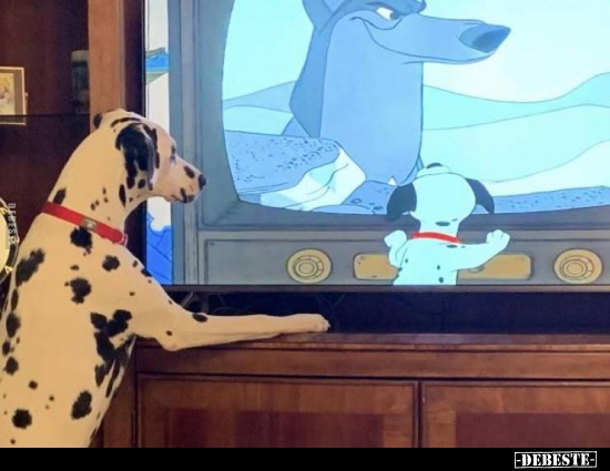  - Lustige Bilder | DEBESTE.de