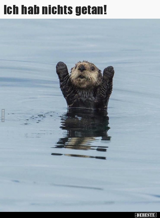 Ich hab nichts getan!..