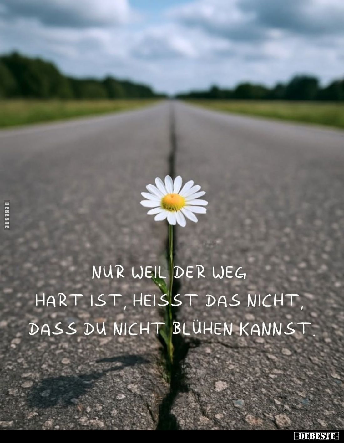 Nur weil der Weg hart ist, heißt das nicht, dass du nicht blühen kannst.