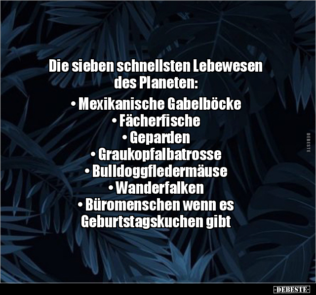 Die sieben schnellsten Lebewesen des Planeten.. - Lustige Bilder | DEBESTE.de