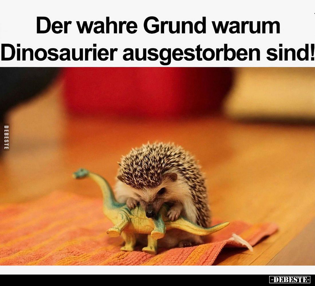 Der wahre Grund warum Dinosaurier ausgestorben sind!.. - Lustige Bilder | DEBESTE.de