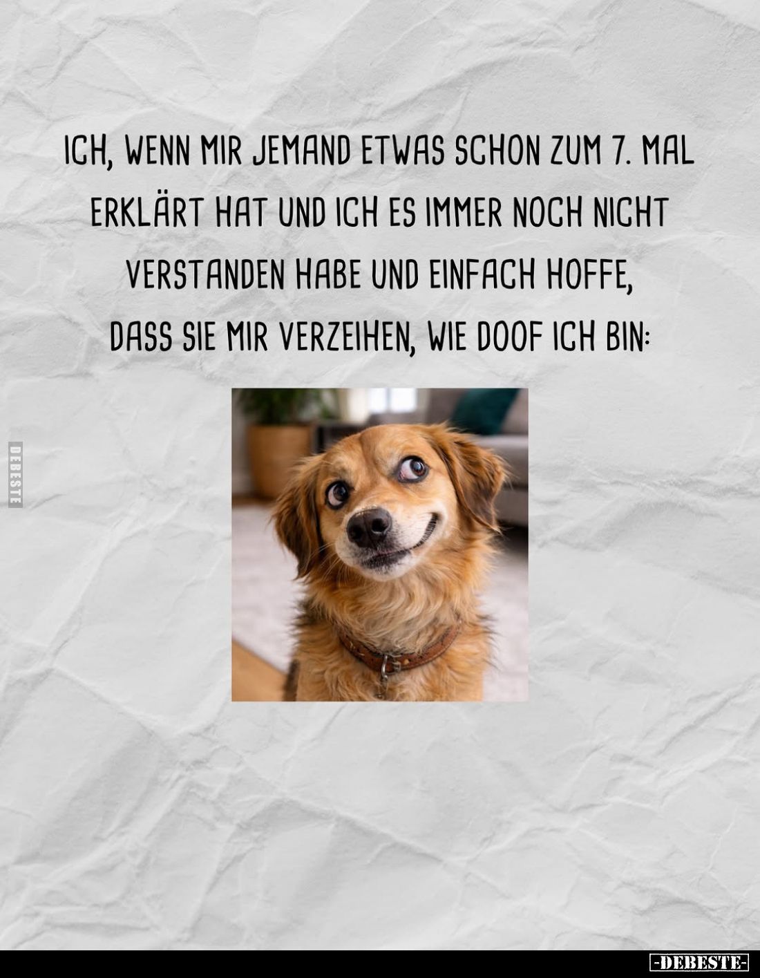 Ich, wenn mir jemand etwas schon zum 7. Mal erklärt hat und.. - Lustige Bilder | DEBESTE.de