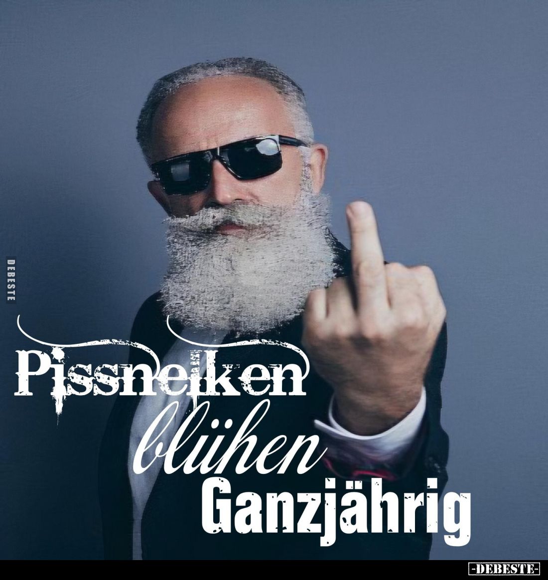 Pissnelken blühen Ganzjährig.