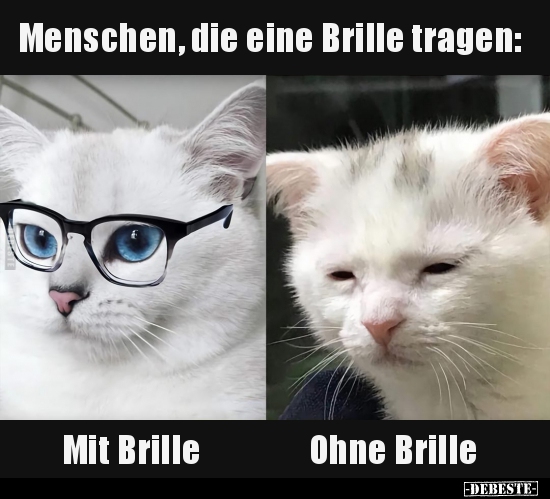 Menschen, die eine Brille tragen.. - Lustige Bilder | DEBESTE.de
